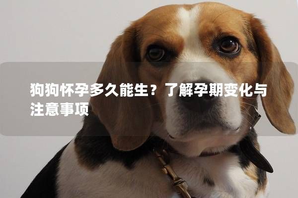 狗狗怀孕多久能生？了解孕期变化与注意事项