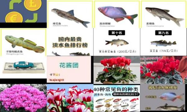 中国淡水鱼类图集