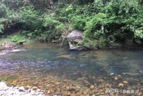 “山泉水养鱼变宠物达人，轻松致富秘诀大公开！”