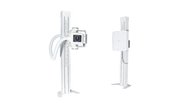 河北乌龟宠物DR操作,宠物DR