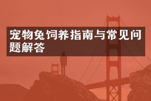 宠物兔饲养指南与常见问题解答