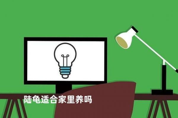 陆龟适合家里养吗