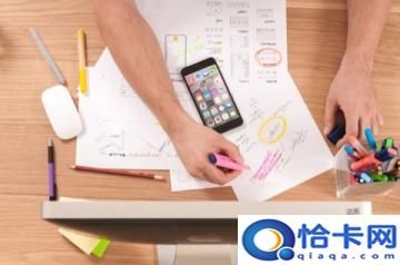 猫可以吃螃蟹吗？关于猫咪饮食的注意事项