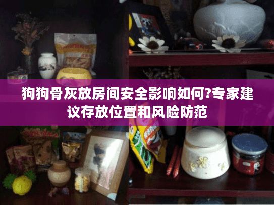 狗狗骨灰放房间安全影响如何?专家建议存放位置和风险防范