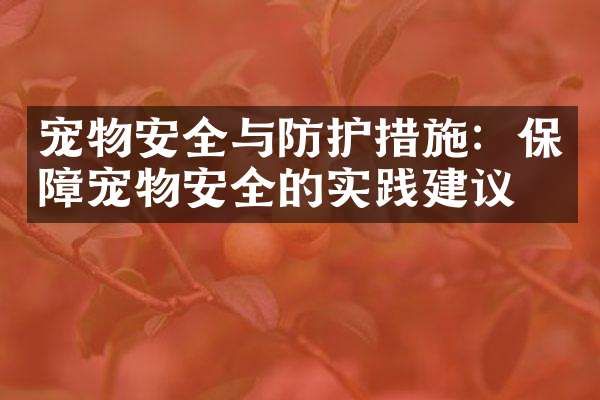 宠物安全与防护措施：保障宠物安全的实践建议