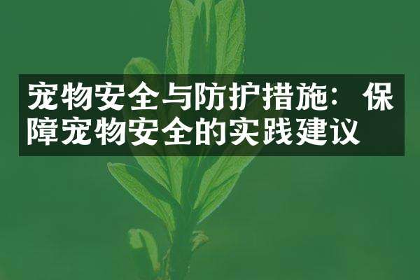 宠物安全与防护措施：保障宠物安全的实践建议