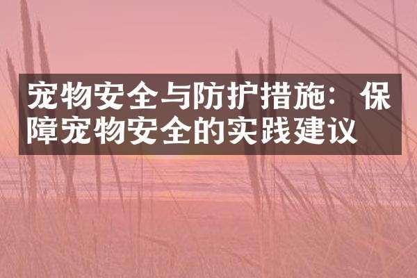 宠物安全与防护措施：保障宠物安全的实践建议