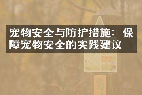 宠物安全与防护措施：保障宠物安全的实践建议