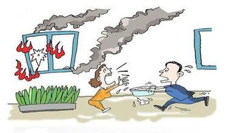 宠物咬电线易引发火灾，安全意识要牢记