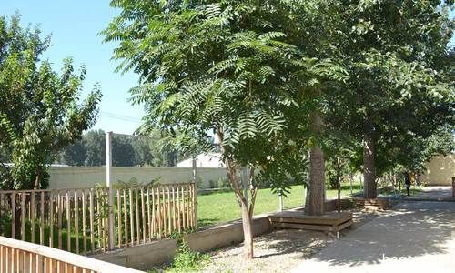 室外环境（有草坪可以跑，有游泳池可以游）