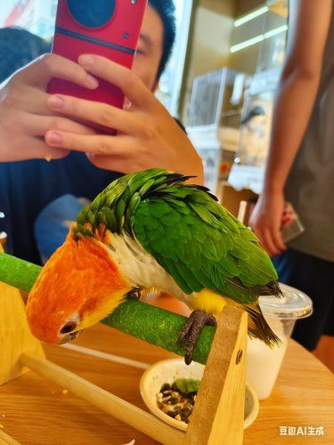 宠物新发现,互动玩具超耐玩