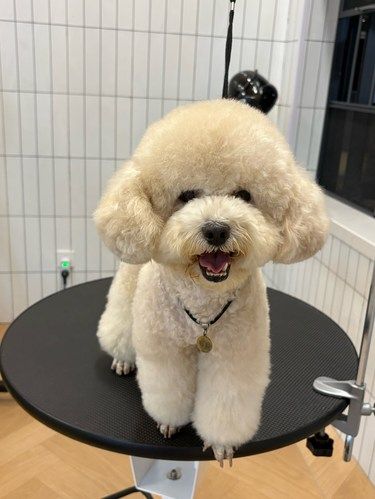 可爱的崽崽洗香香啦