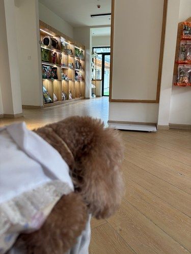 从窗外迎来的悠闲时光