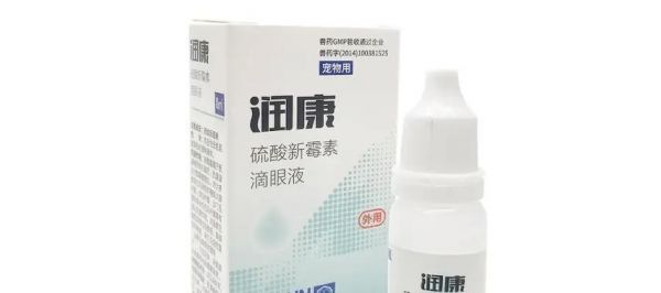 家中常备这几种药，狗狗生病不慌张（宠物医疗必备，给狗狗提供紧急救助）