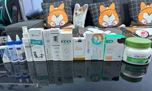 家中常备这几种药，狗狗生病不慌张（宠物医疗必备，给狗狗提供紧急救助）