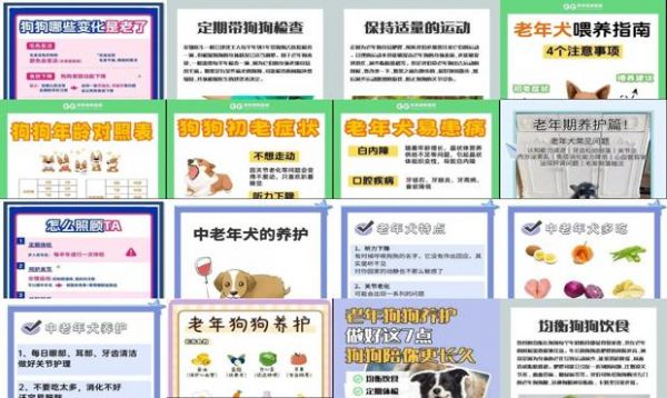 老年狗狗的照顾方法