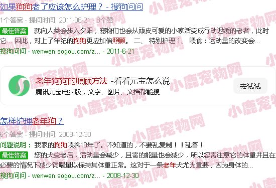 老年狗狗的照顾方法