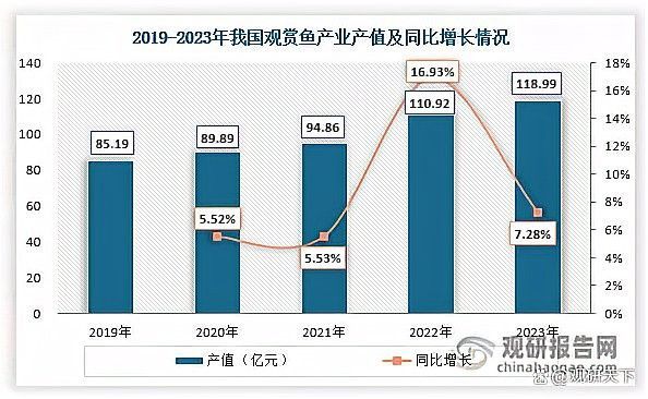 橙红龙鱼的市场趋势如何？