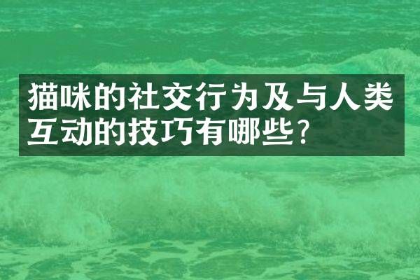 猫咪的社交行为及与人类互动的技巧有哪些？