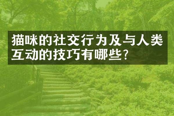 猫咪的社交行为及与人类互动的技巧有哪些？