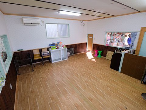 garden ドッグラン