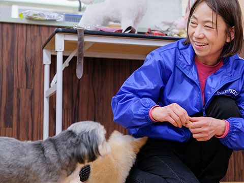 garden ドッグラン