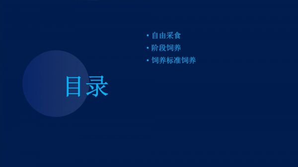 养猪3种饲喂方法的剖析_第2页