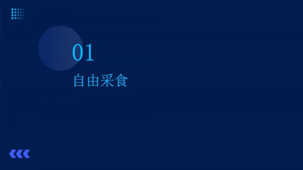 养猪3种饲喂方法的剖析_第3页