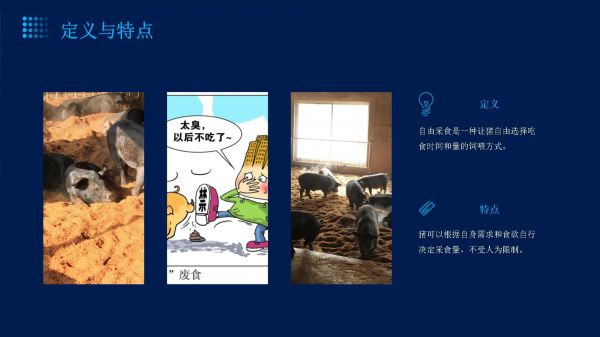 养猪3种饲喂方法的剖析_第4页