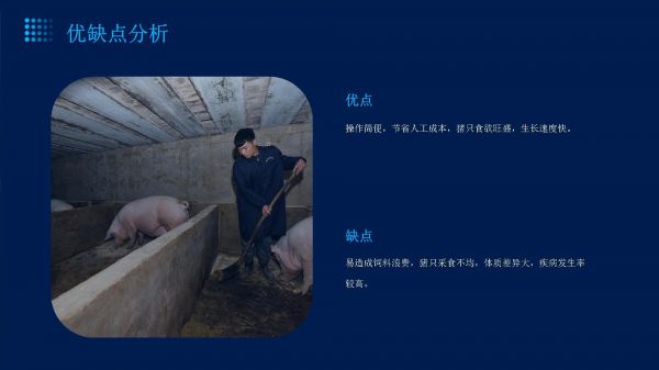 养猪3种饲喂方法的剖析_第5页