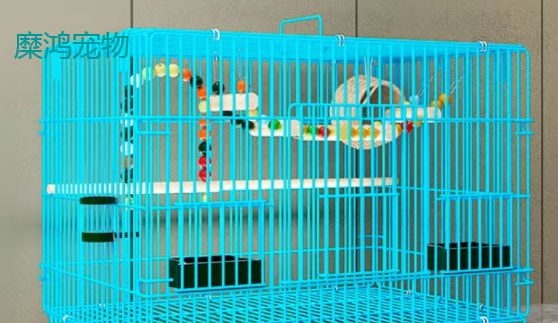鸟笼品牌排行：“糜鸿宠物”鸟界大别墅