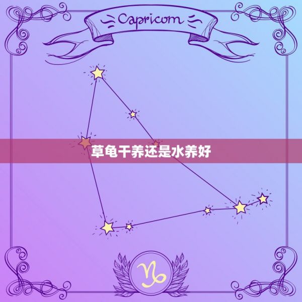 草龟干养还是水养好，养乌龟干养好还是水养好？ 第1张