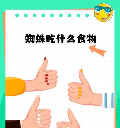 蜘蛛的理想食物（探寻蜘蛛的饮食习性及关键营养摄入）