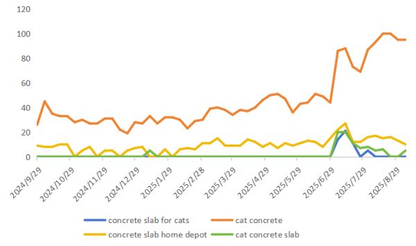反常识宠物爆款