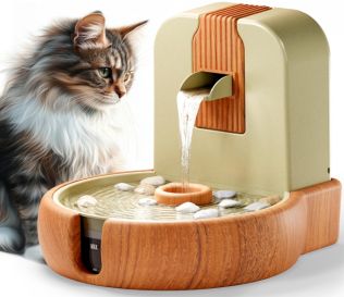 反常识宠物爆款