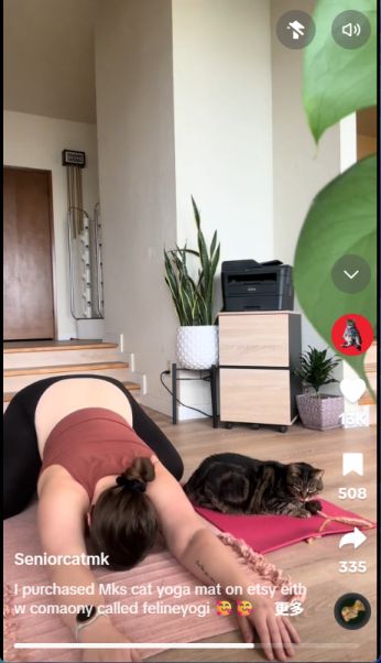 反常识宠物爆款