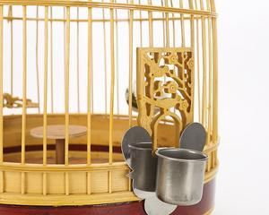 以凤头云雀为主题的笼养方法（选择适合凤头云雀的笼子和养护技巧）