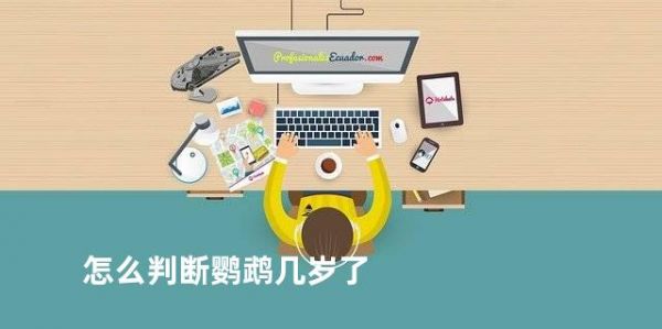 怎么判断鹦鹉几岁了