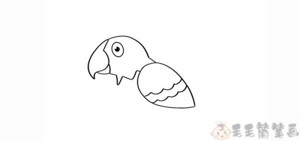 鹦鹉彩色简笔画