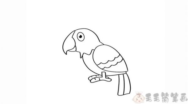 鹦鹉鸟少儿简笔画