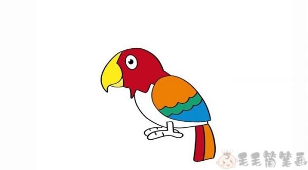 鹦鹉彩色简笔画