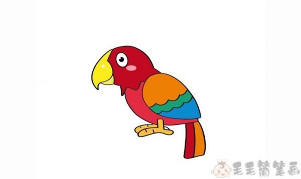 鹦鹉鸟少儿简笔画
