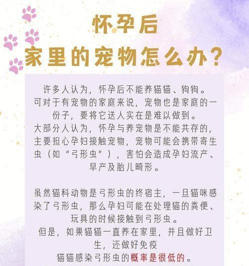 怀孕经常抱狗是否对胎儿有影响？（了解胎儿在怀孕期间与宠物狗接触的影响以及相关注意事项）