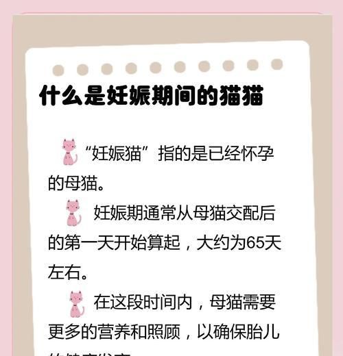 猫的妊娠期和产仔过程（揭秘猫咪怀孕的时间和分娩过程，让你更了解你的宠物）