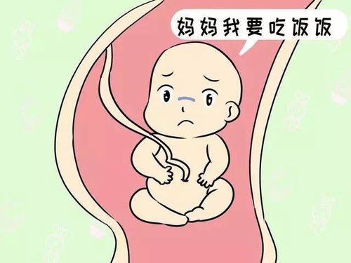 了解宠物怀孕期身体变化