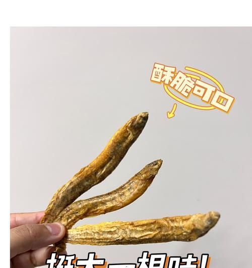 猫咪怀孕期间的饮食需求（猫咪怀孕期间每周吃鱼的最佳频率和注意事项）