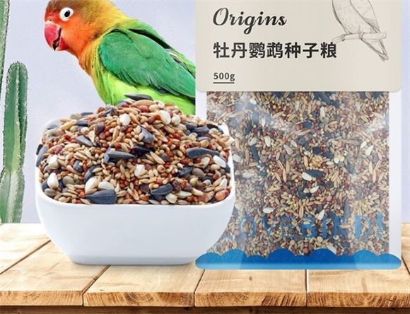 千鹦鸟舍鹦鹉鸟粮：开启鹦鹉健康生活的钥匙