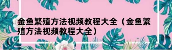 金鱼繁殖方法视频教程大全（金鱼繁殖方法视频教程大全）
