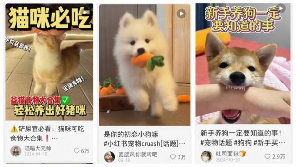 千亿宠物市场！2025下半年小红书这些赛道赚翻了！