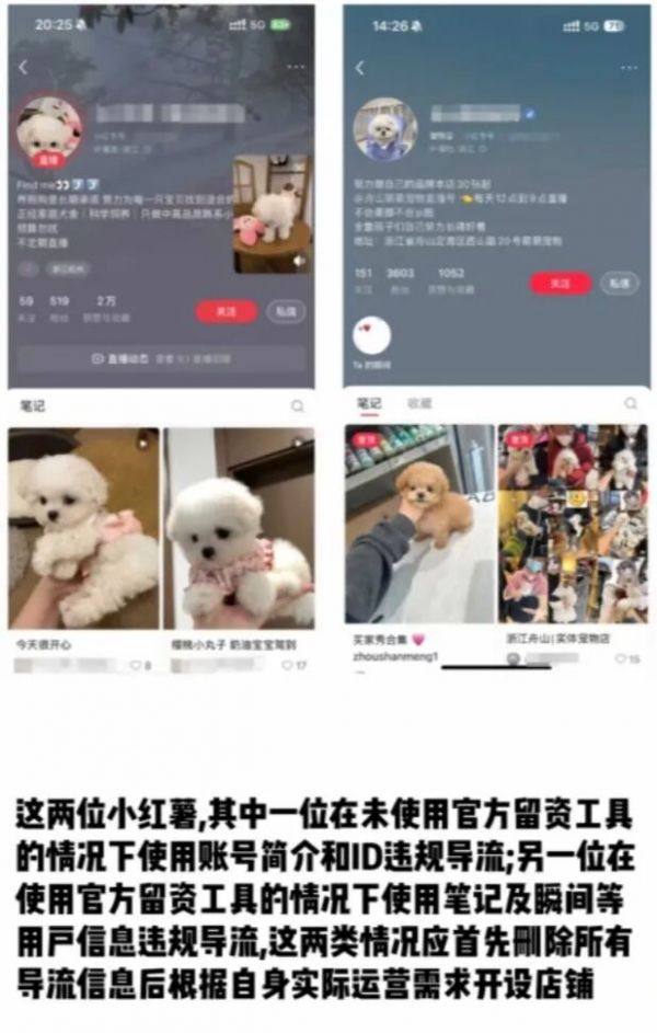 千亿宠物市场！2025下半年小红书这些赛道赚翻了！